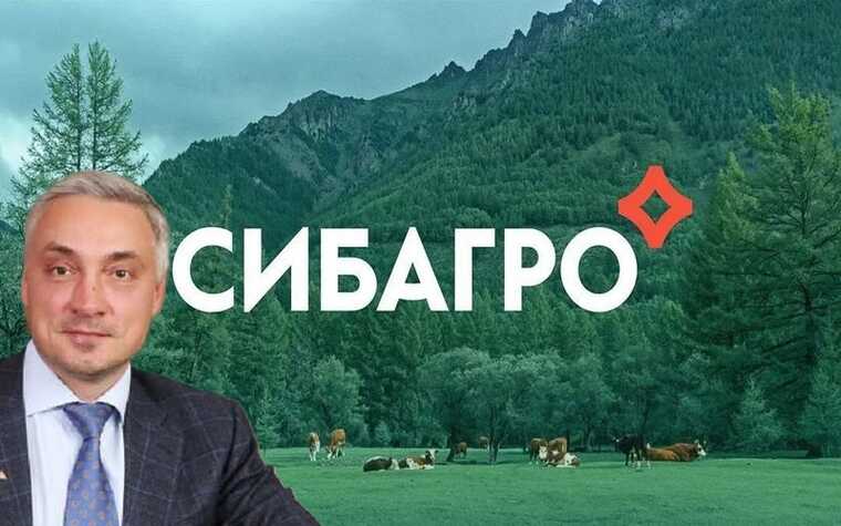 Зловонный «Сибагро» и Андрей Тютюшев: токсичная продукция и отравленная природа по вине томского свиновода